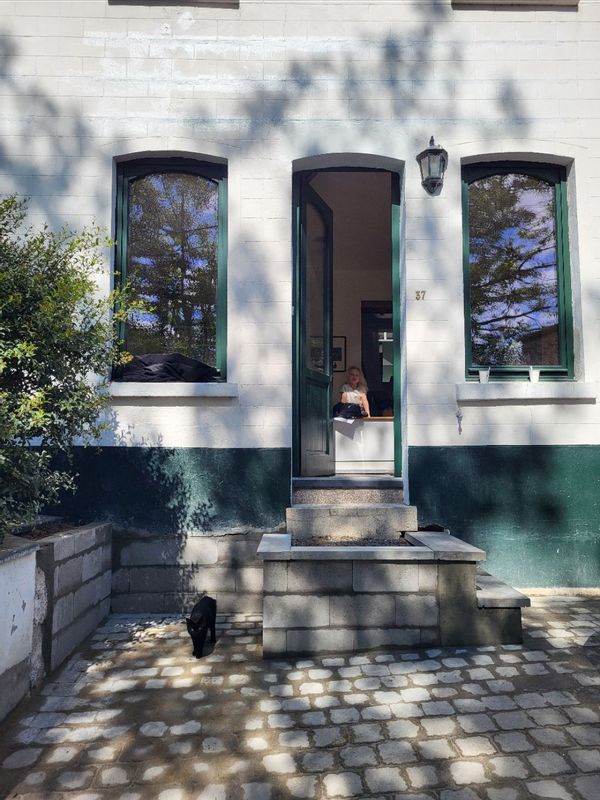 La maison "verte" 