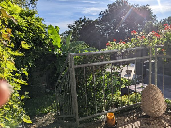 La maison de Vivi