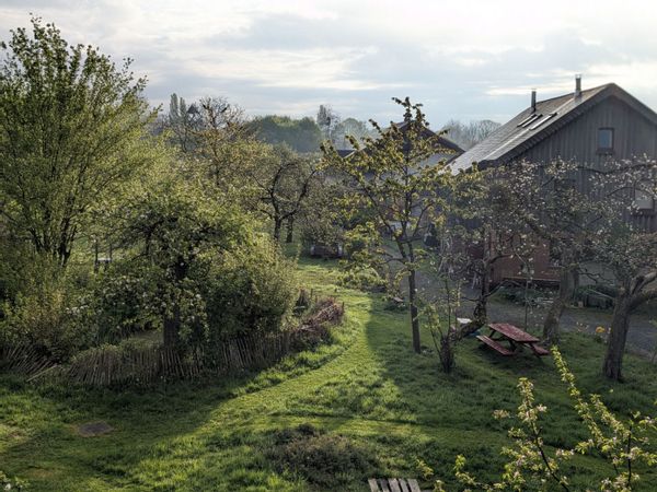 Maison avec séjour lumineux dans les arbres
