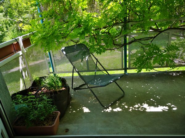 L'appartement au bord de la rivière de Nicole