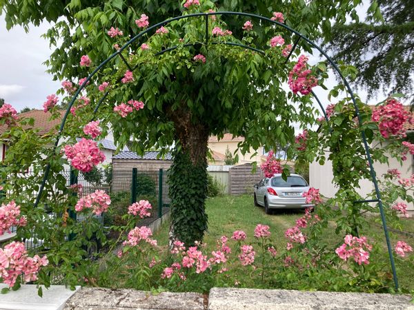 La chambre de Dan près de la forêt