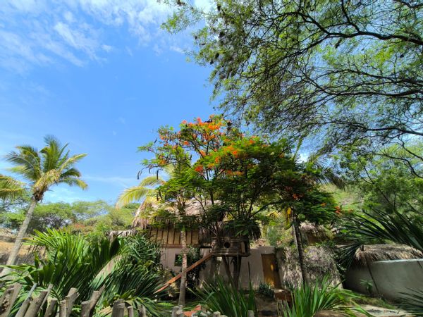 La maison de Amaro, Pepa & Axel