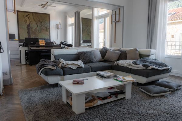 Un appartement calme et spacieux, avec des chats (sympas mais timorés).