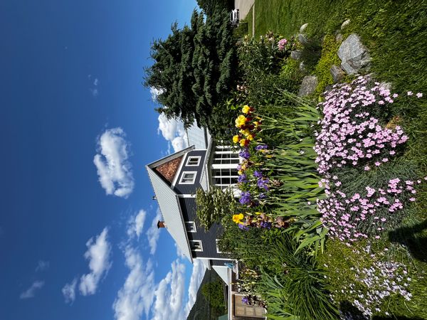 La maison de Heidi