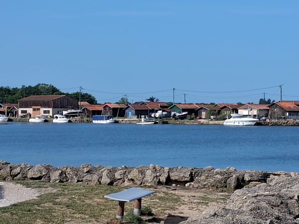 Grande maison en bois confortable sur le bassin d'Arcachon