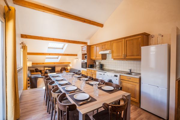 Appartement aux deux alpes non dispo en hiver.