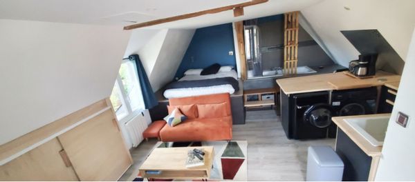 Appartement lumineux, vue sur Loire avec balcon, dans village de charme, environnement très calme.