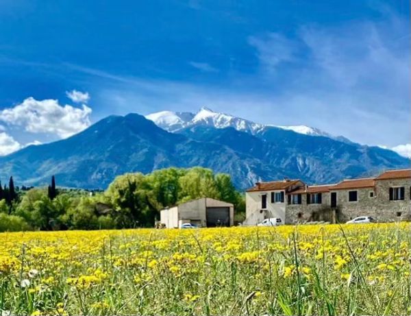 Gîte Le Canigou
