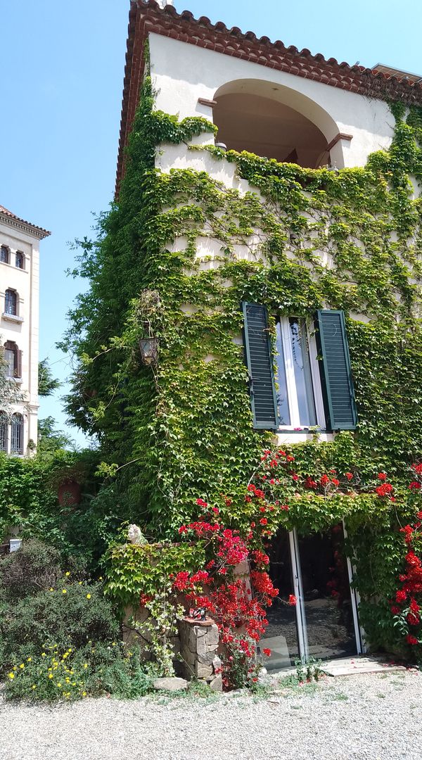 La maison de Tanit