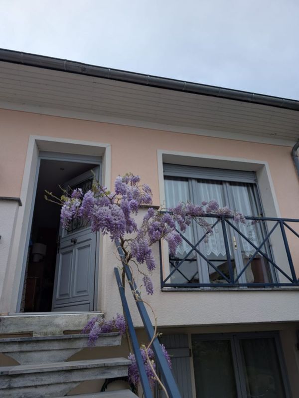 Notre maison à Colombes