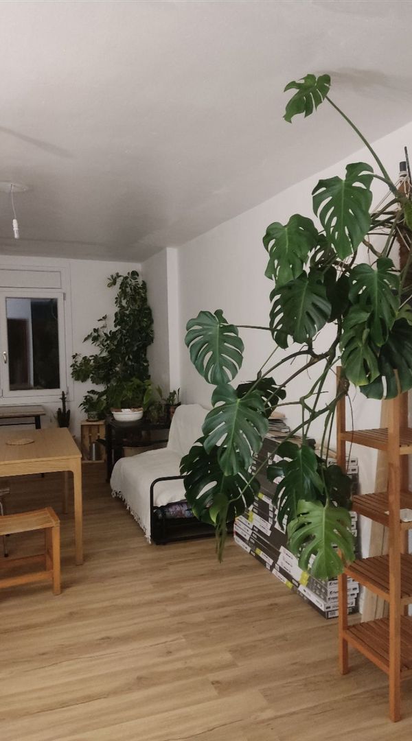 La maison de Veronika