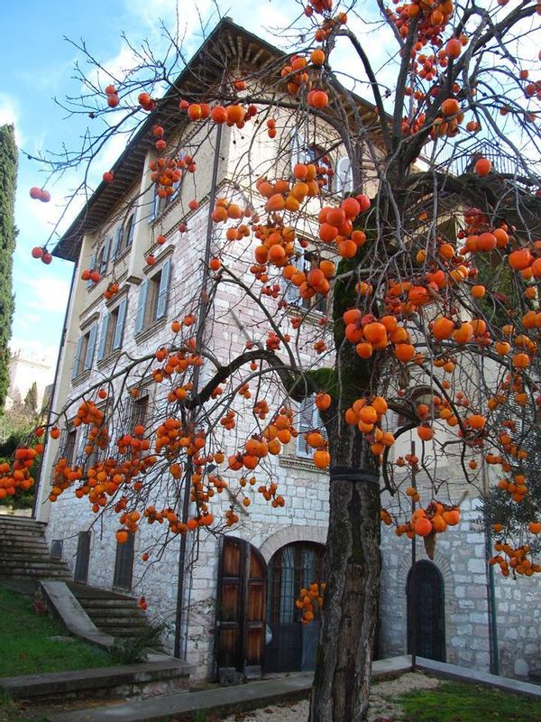 La maison de Angela