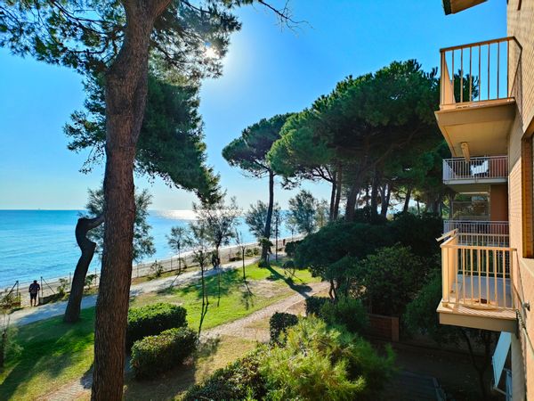 La maison de DIANA DELFINO