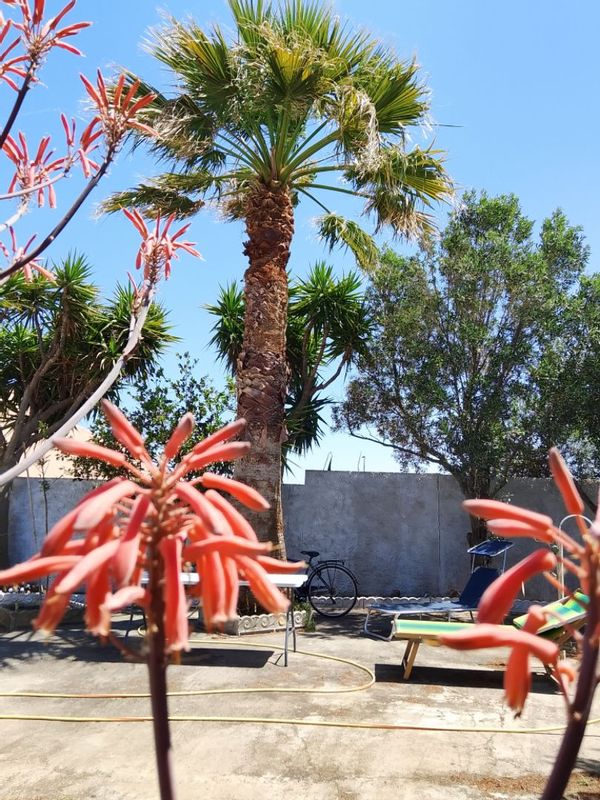 La maison de Flavia