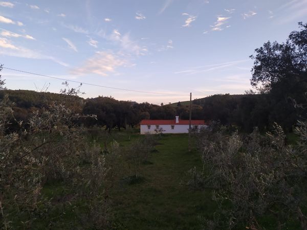 La maison de Sara