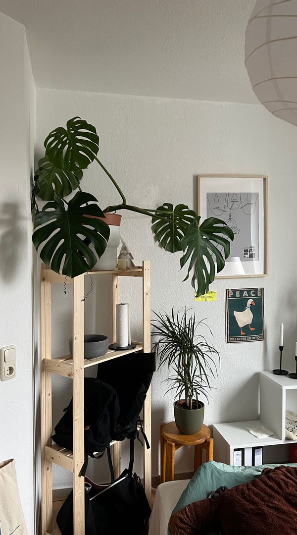 Student apartment