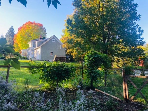 La grande maison aux lilas *échanges réciproques seulement