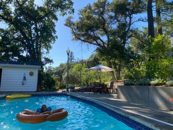 Wine country farmhouse on 1 acre. Walk to Healdsburg plaza, pool, great for families.