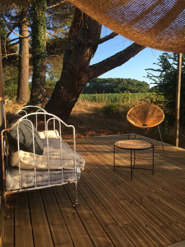 Bungalow sous les pins, vue vignes.