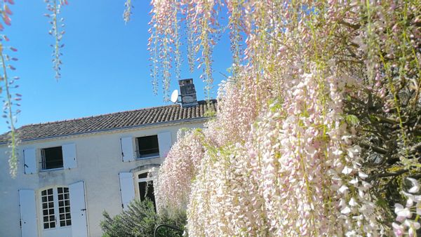 La maison de Sophie
