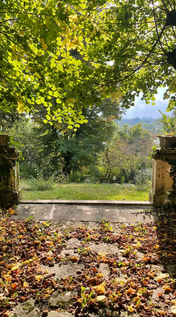 Le Verger Fleuri, maison de ville dans un grand jardin arboré