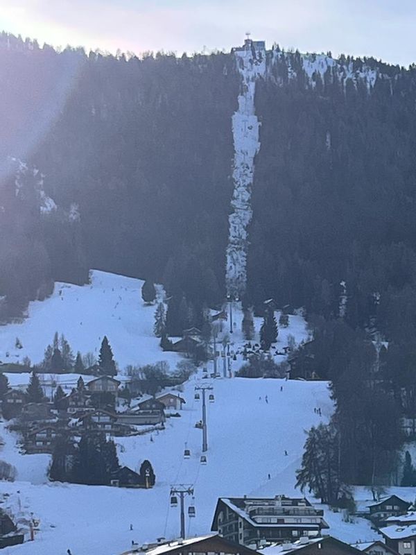 Sweet Switzerland- Ski in ou out
