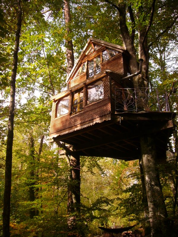 L'Eco source Arboricole