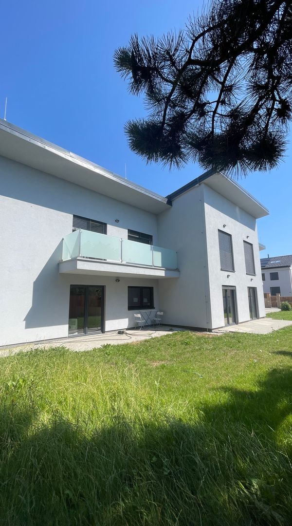 La maison de David