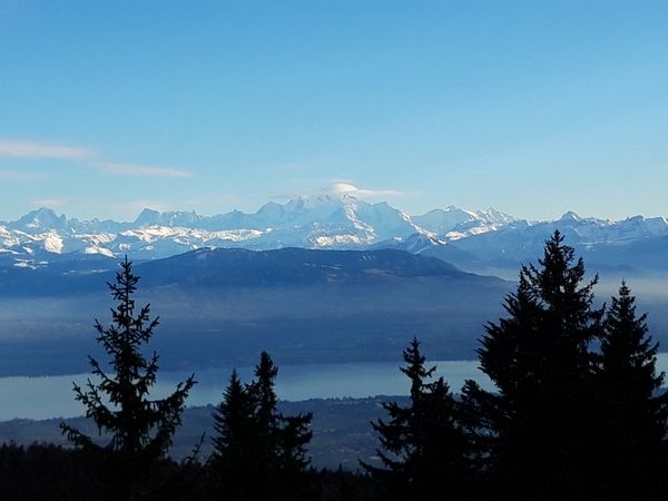 Le logement franco-suisse de Sylvie