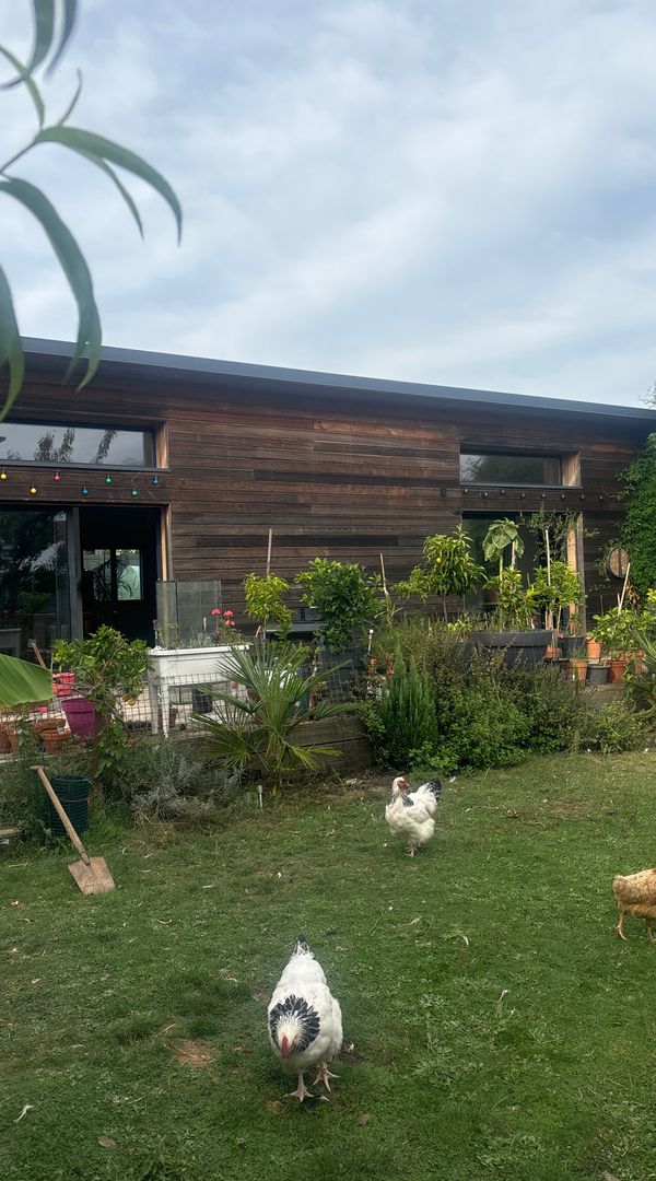 La maison  de la nature