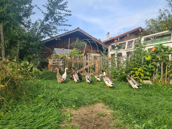 La maison de Elisabeth