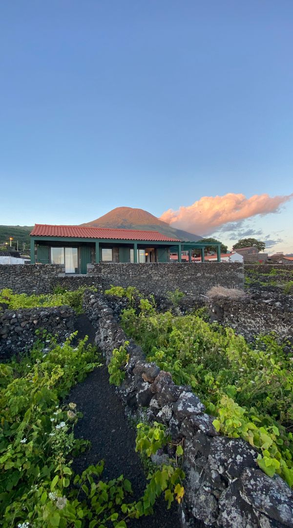 LAVA OM COMPLET EN 2026 Instagram : miradorpico