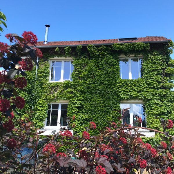 Maison de ville dans un écrin de verdure