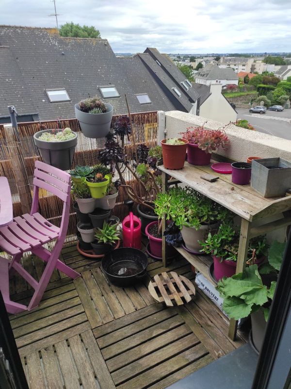 La maison de Virginie