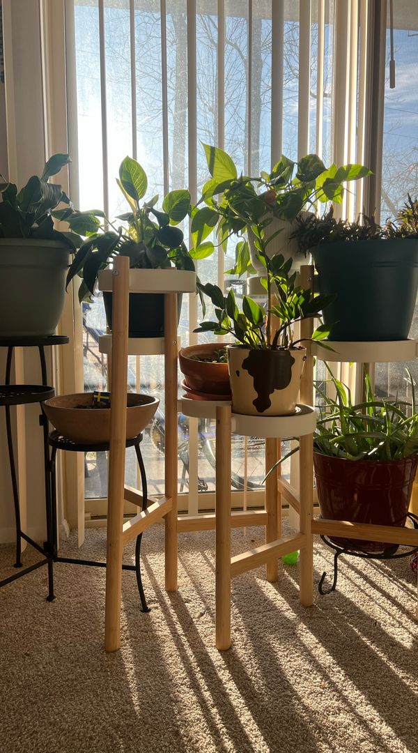 La maison de Steven