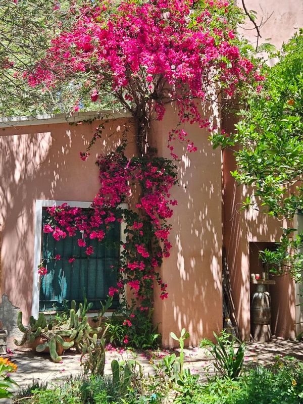 La maison de Rosana