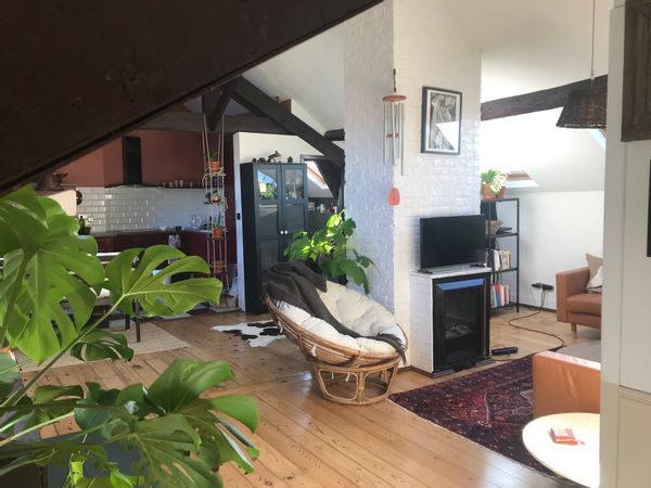 La maison de Jagoda