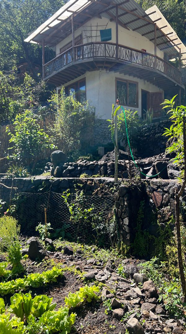 La maison de Brandon