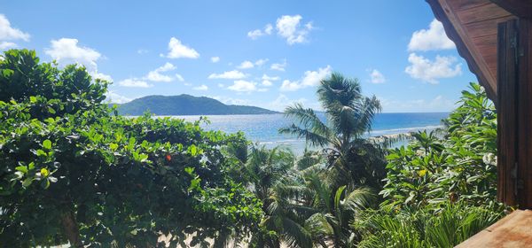 "TI LAKAZ"  JOLIE PETITE MAISON CREOLE - Bord de mer - Vue Panoramique /SEYCHELLES - ILE de la DIGUE