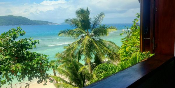 "TI LAKAZ"  JOLIE PETITE MAISON CREOLE - Bord de mer - Vue Panoramique /SEYCHELLES - ILE de la DIGUE