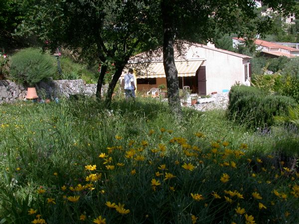 La maison de Jane