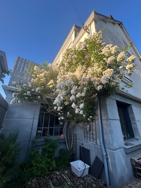 La maison de ville de Agathe, Antoine, Justine et Gaspard