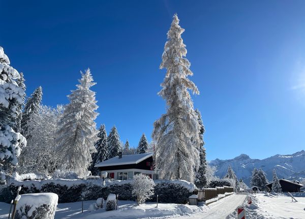 "L'Echo" le petit chalet de Sophie