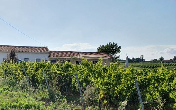 Charming house in the Beaujolais region, 20 mn from Lyon