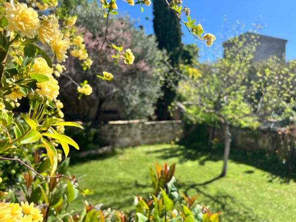 Écrin de verdure au coeur des festivals provençaux