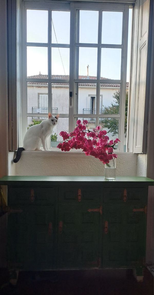 La maison de Nicolas & Itzel