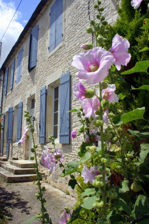 La maison d' Albane / Albane's home sweet home