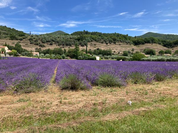 La maison de Marie en Provence