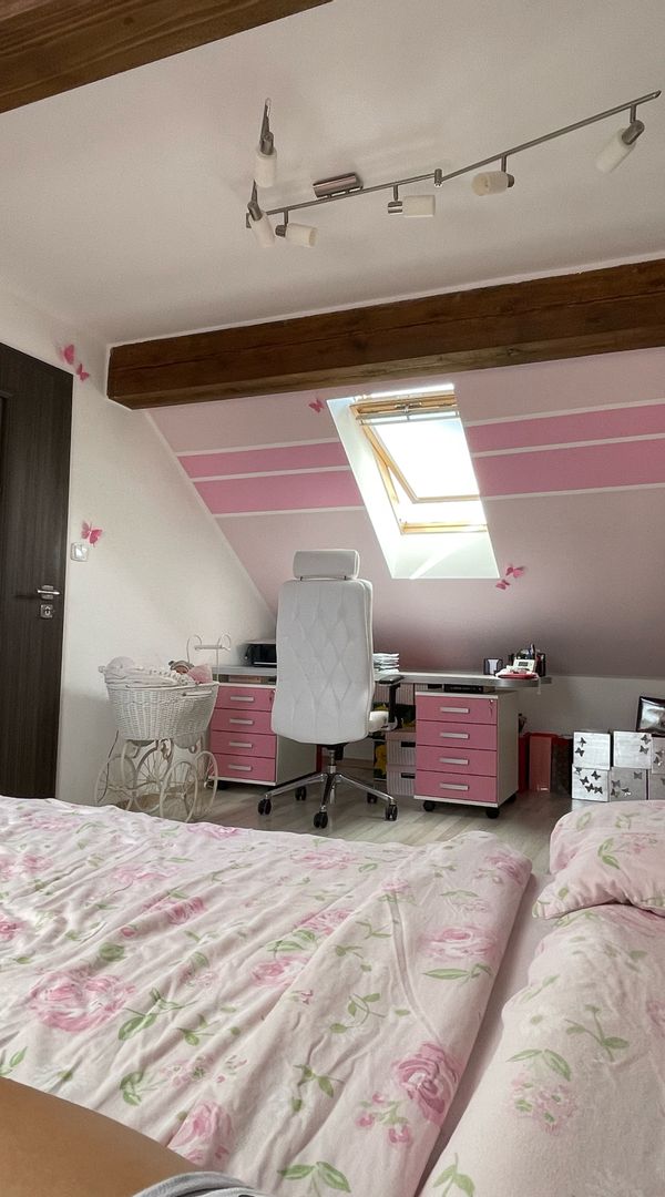 La maison de Dášenka