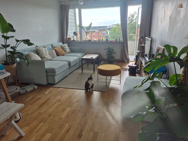 La maison de Aline